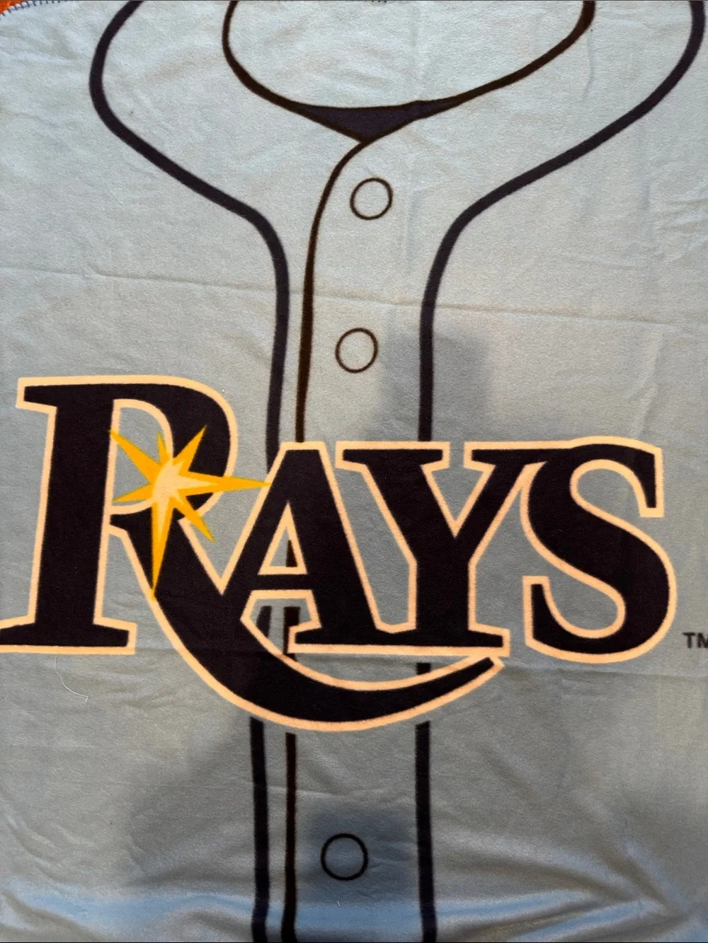 Tampa Bay Rays Light Blue Logo Fleece Blanket